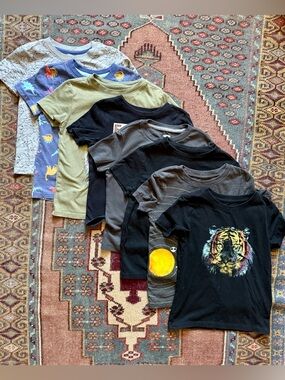 Boys Graphic & Solid Short Sleeve Tee Bundle - 5T